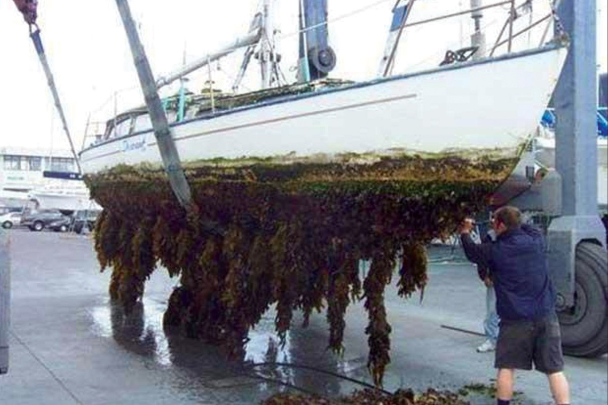 A boat hull lifted from the water, completely encrusted with barnacles and marine growth — a visual metaphor for the manual process drag that accumulates unseen beneath the waterline of a growing business